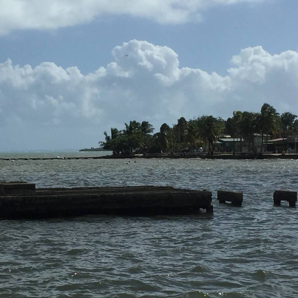 Meet your Posher, Milly